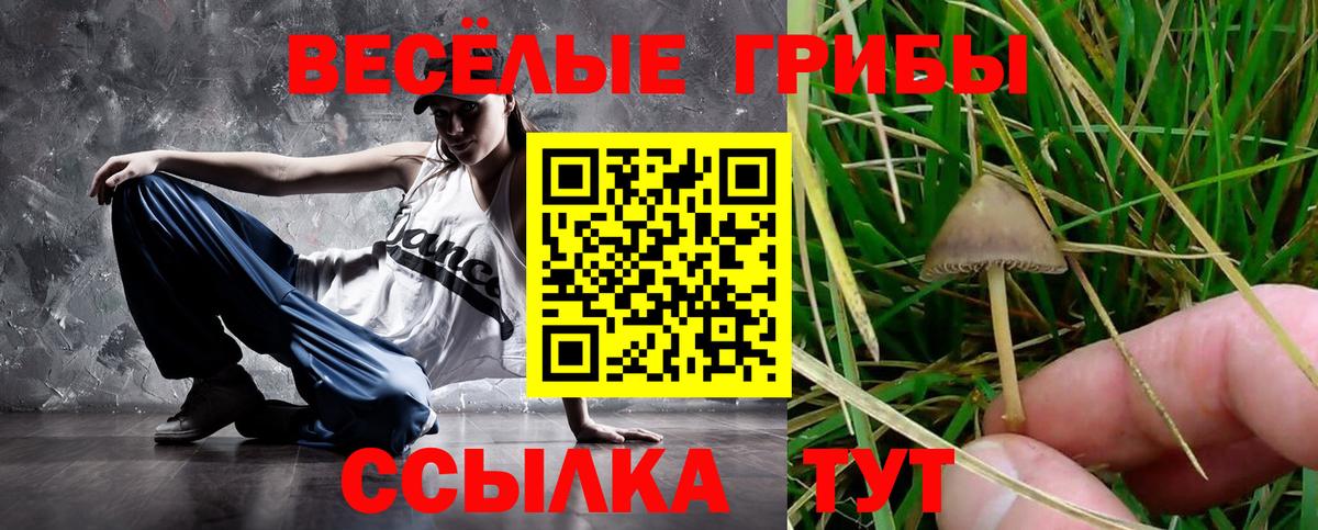 Псилоцибиновые грибы прущие грибы  Вход с VPN  Псилоцибиновые грибы ЛСД  Можайск 